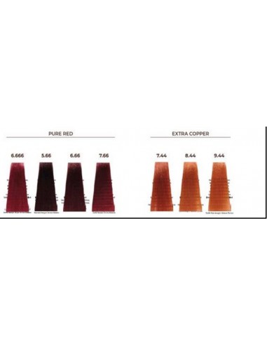 Echosline 5.66 Catano Chiaro Rosso...