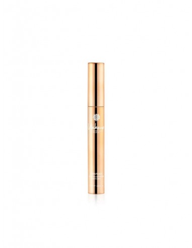 WAKEUP SHOUT-OUT LENGTH&DEFINITION...